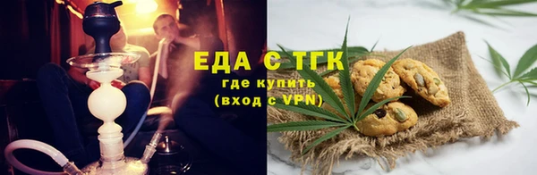 индика Каменка