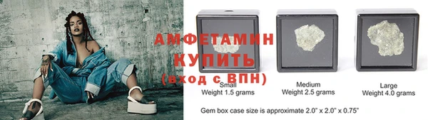 индика Каменка