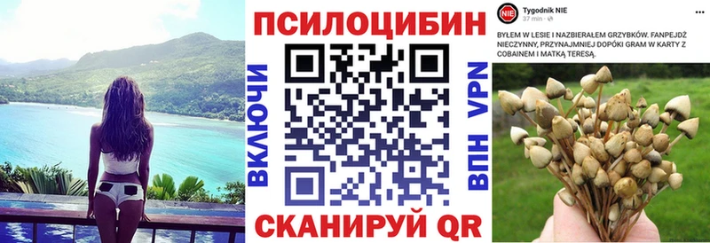 Галлюциногенные грибы MAGIC MUSHROOMS  цена наркотик  ОМГ ОМГ ONION  Краснознаменск 