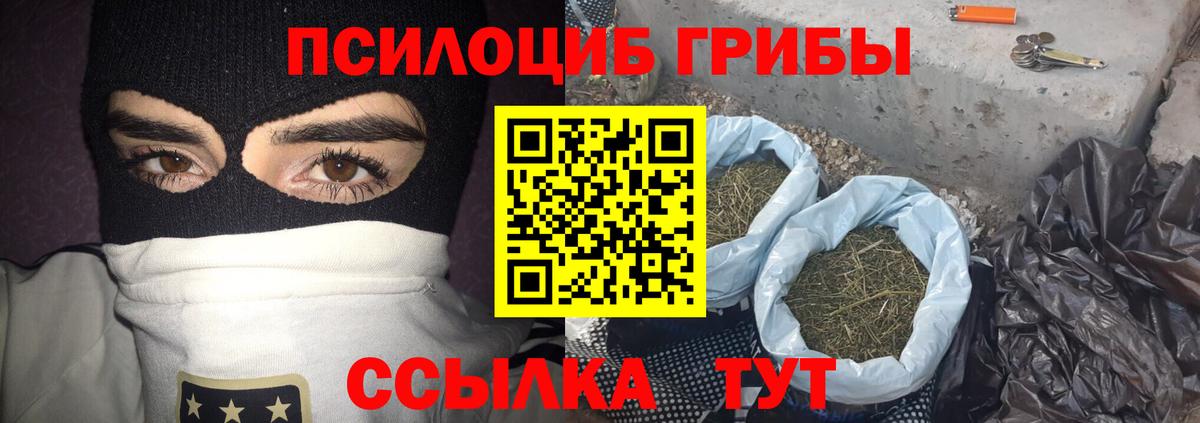 Краснознаменск  магазин  наркотиков  Вход с VPN  Псилоцибиновые грибы мицелий  Галлюциногенные грибы мицелий 